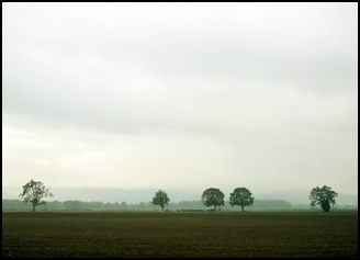 Rain and mist on Sauvie Island, Authors Road