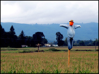 Scarcrow, Sauvie Island, Authors Road