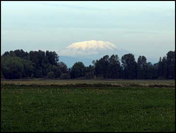 Mt. St. Helens from Sauvie Island, OR, Authors Road